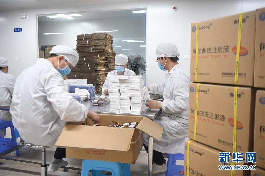 長沙醫(yī)藥公司最新招聘，多元視角的人才招聘與全面考量