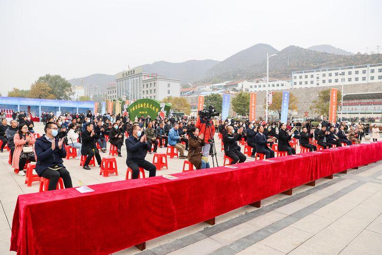 潞新公司最新動(dòng)態(tài)，深度解析其影響與前景展望