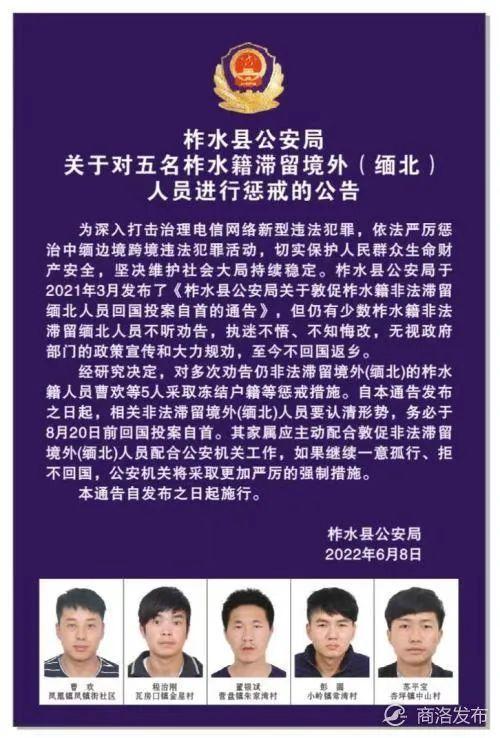 鎮(zhèn)安張金水最新消息獲取指南，步驟詳解與動態(tài)更新速遞