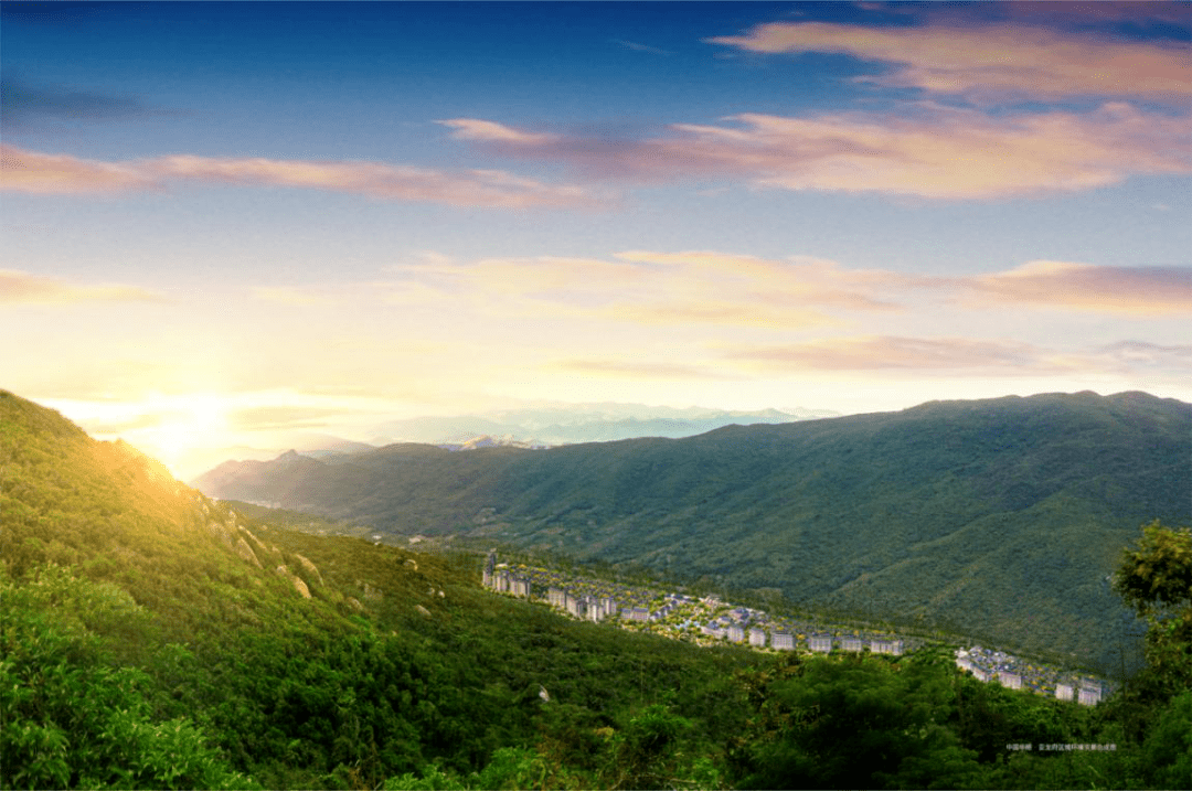 張必清最新動態(tài)，與自然美景的親密之旅，探尋內(nèi)心平和之地