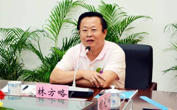 海南林方略最新動(dòng)態(tài)揭秘，小巷深處的獨(dú)特風(fēng)味探秘