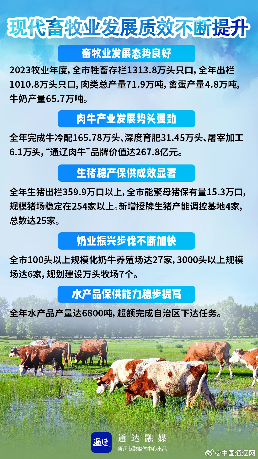東江畜牧上市最新動態(tài)，變化帶來自信與成就感，勵志前行之路