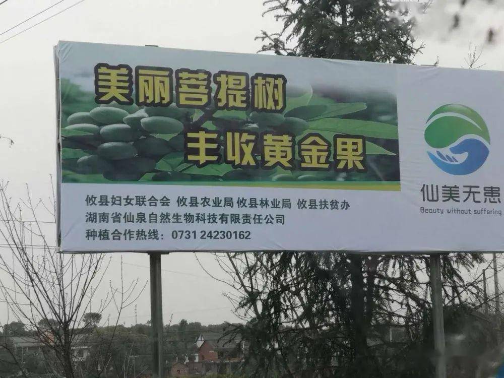 龍口西城區(qū)最新招聘啟事，啟程探索自然美景之旅的職場機會