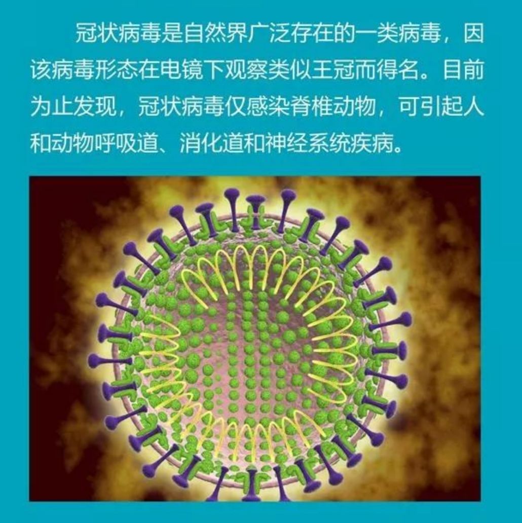 管狀病毒最新數(shù)據(jù)深度解析，背景、影響與地位探析