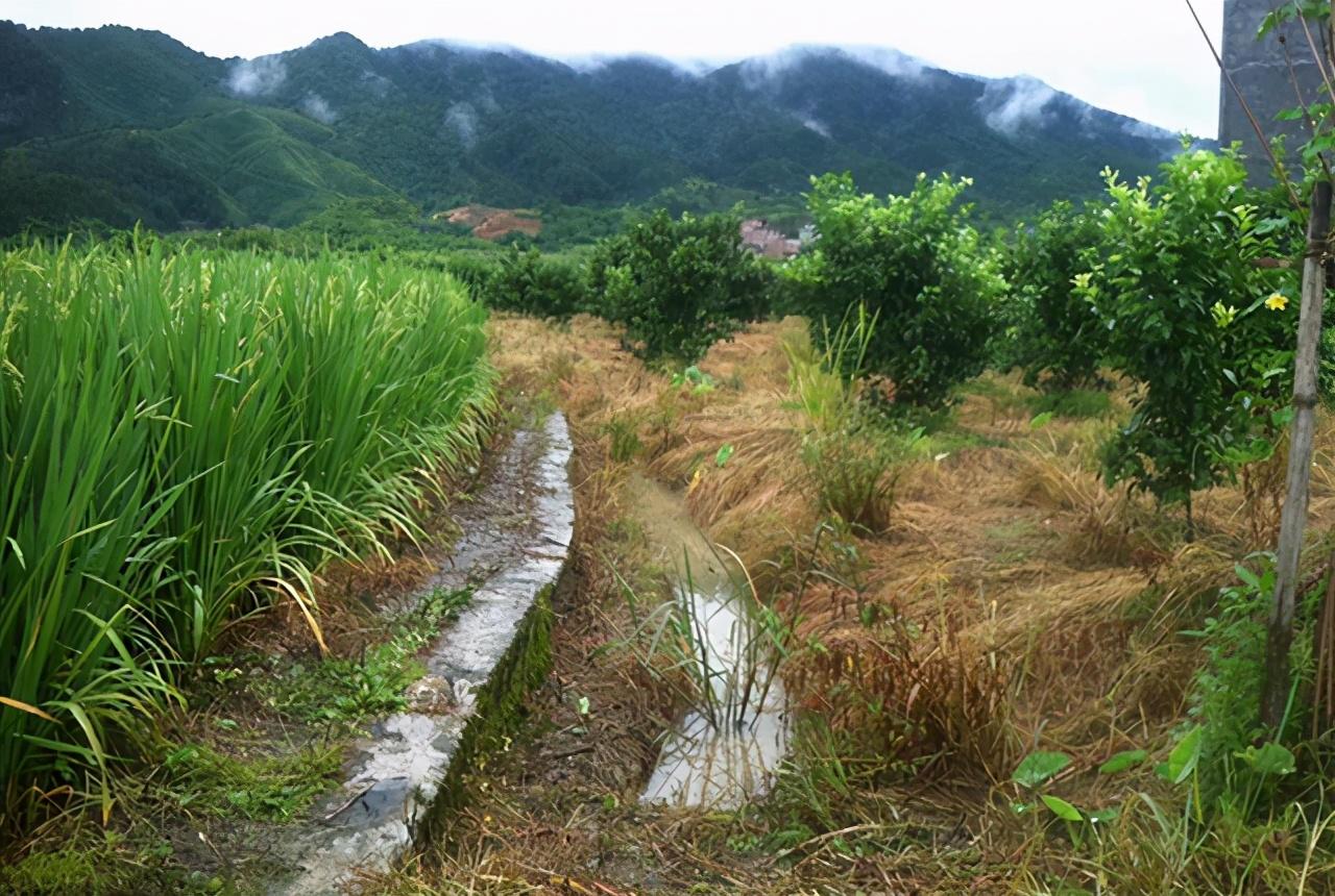 今年最新臺風動態(tài)及其影響全面解析