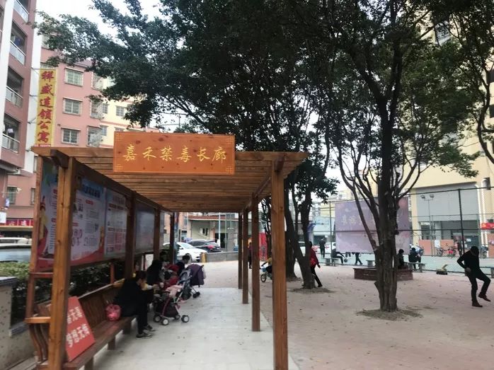 嘉禾最新動(dòng)態(tài)，小巷深處的獨(dú)特風(fēng)味揭秘