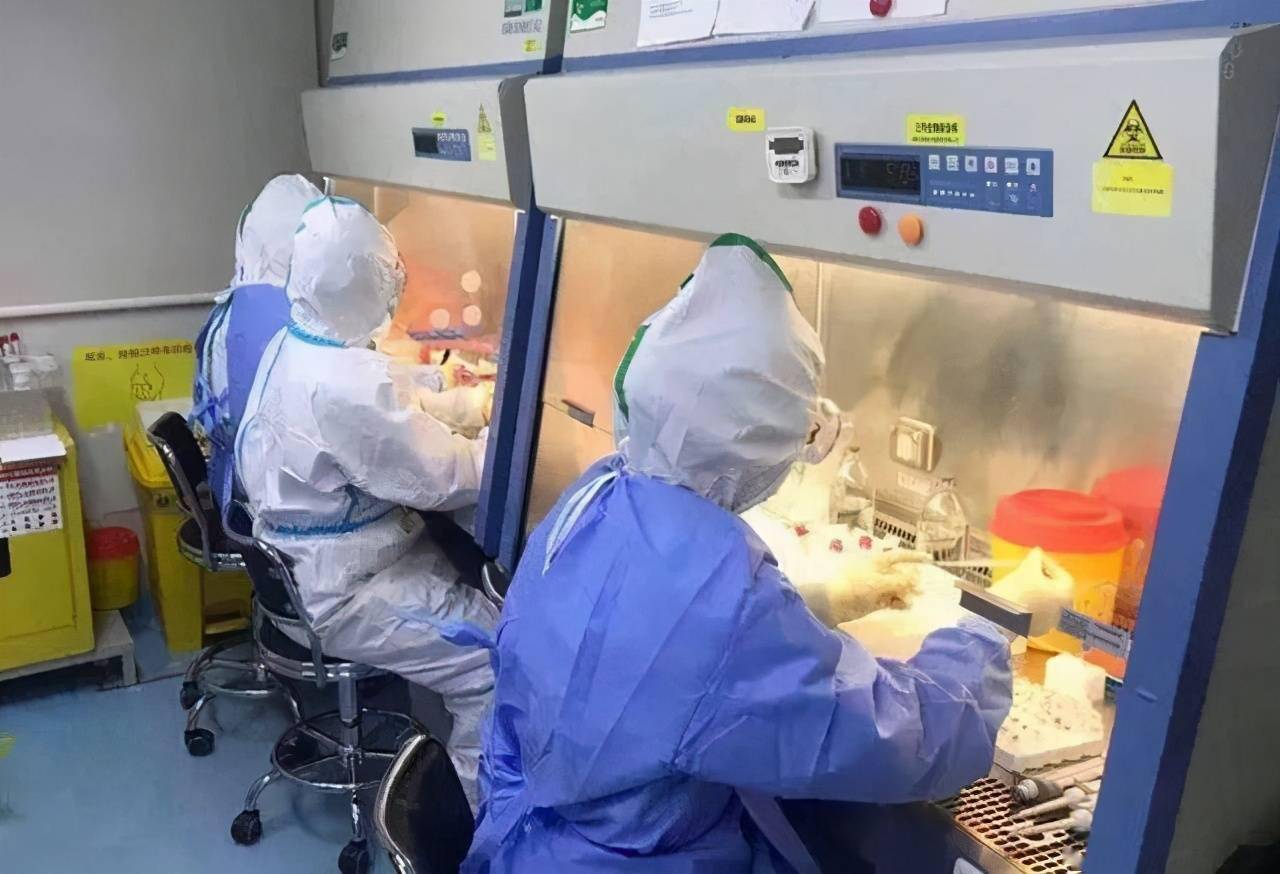 山東核酸檢測重塑新體驗(yàn)，科技賦能下的檢測要求與革新