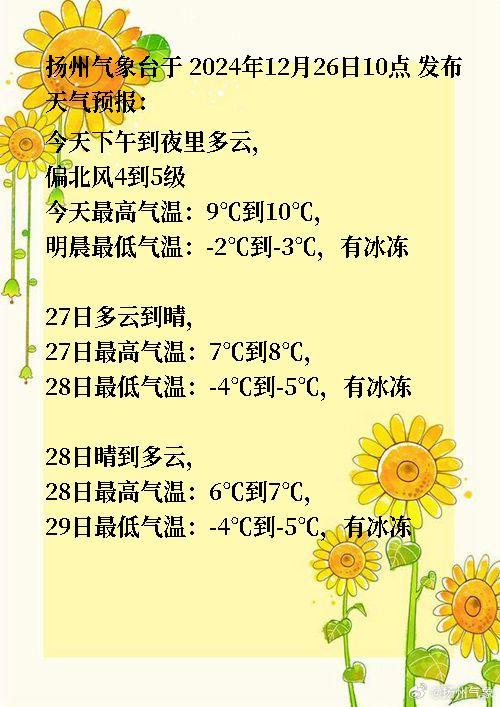 江蘇揚(yáng)州最新天氣及小巷中的意外發(fā)現(xiàn)