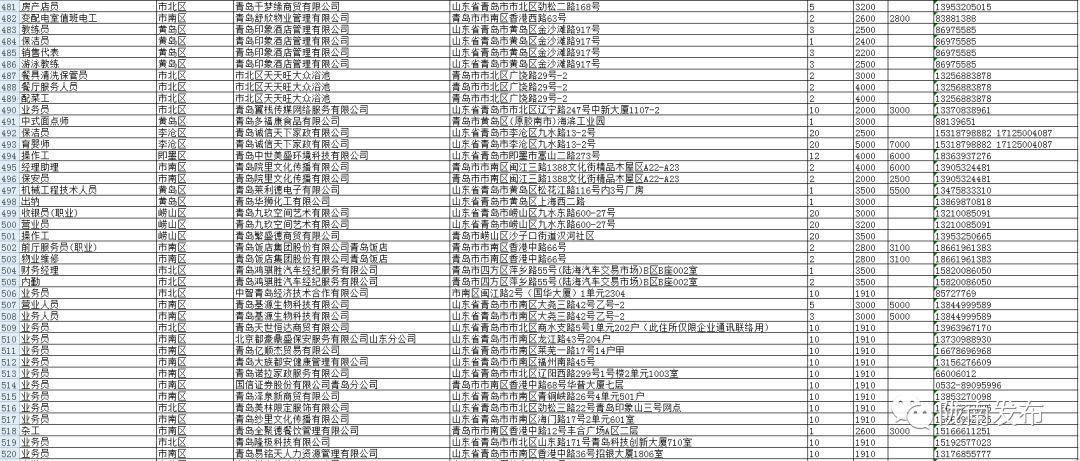 青島市最新信息概覽，城市動(dòng)態(tài)與發(fā)展概述