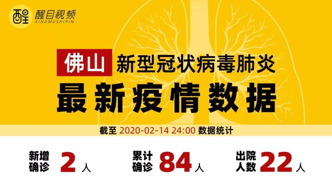 佛山新型肺炎最新動態(tài)，小巷深處的獨特風(fēng)味