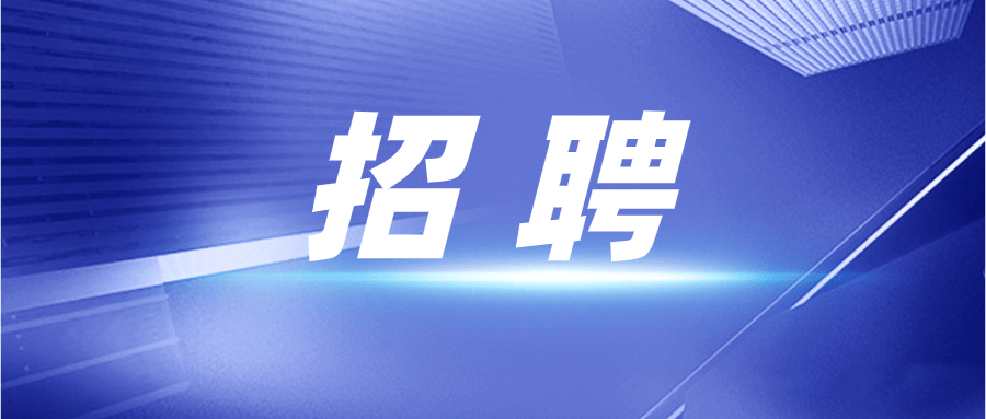 多元時代的機遇與挑戰(zhàn)，求職平臺最新招聘動態(tài)與求職指南