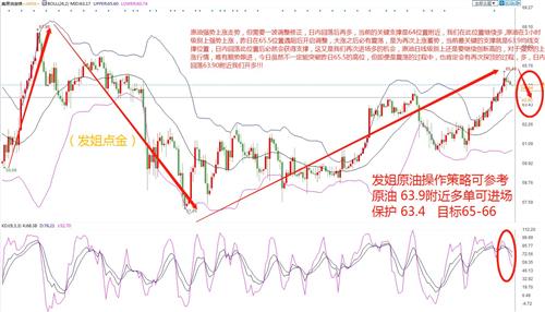 原油最新動態(tài)概覽，入門指南與關(guān)鍵步驟解析