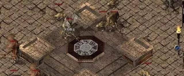 瑪奇瑪最新話，學(xué)習(xí)之旅中的變化與自信之源