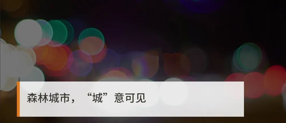 寵文網(wǎng)盤最新，自信與成長的旋律每一步記錄