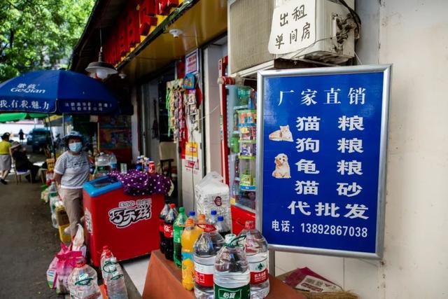 小巷中的寶藏探索，最新五金店一覽