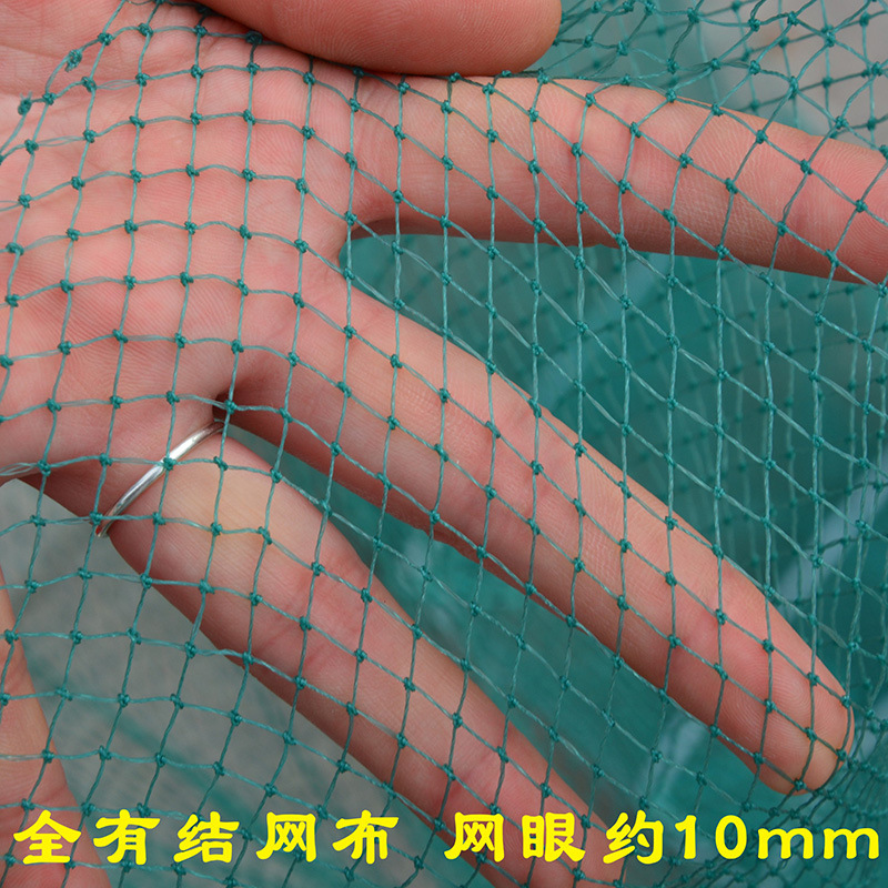 最新款蝦網(wǎng)制作與應用指南，探索蝦網(wǎng)的新世界