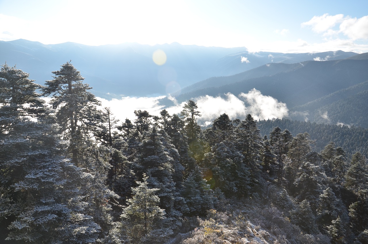 雪松資訊，探尋自然美景之旅，尋覓內(nèi)心平和之地