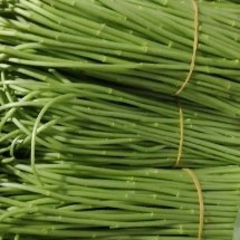 蘆蒿上市時(shí)間與科技新品引領(lǐng)食材新紀(jì)元揭秘！