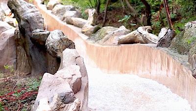 探索自然美景之旅，熱門話題與內(nèi)心平和的追尋