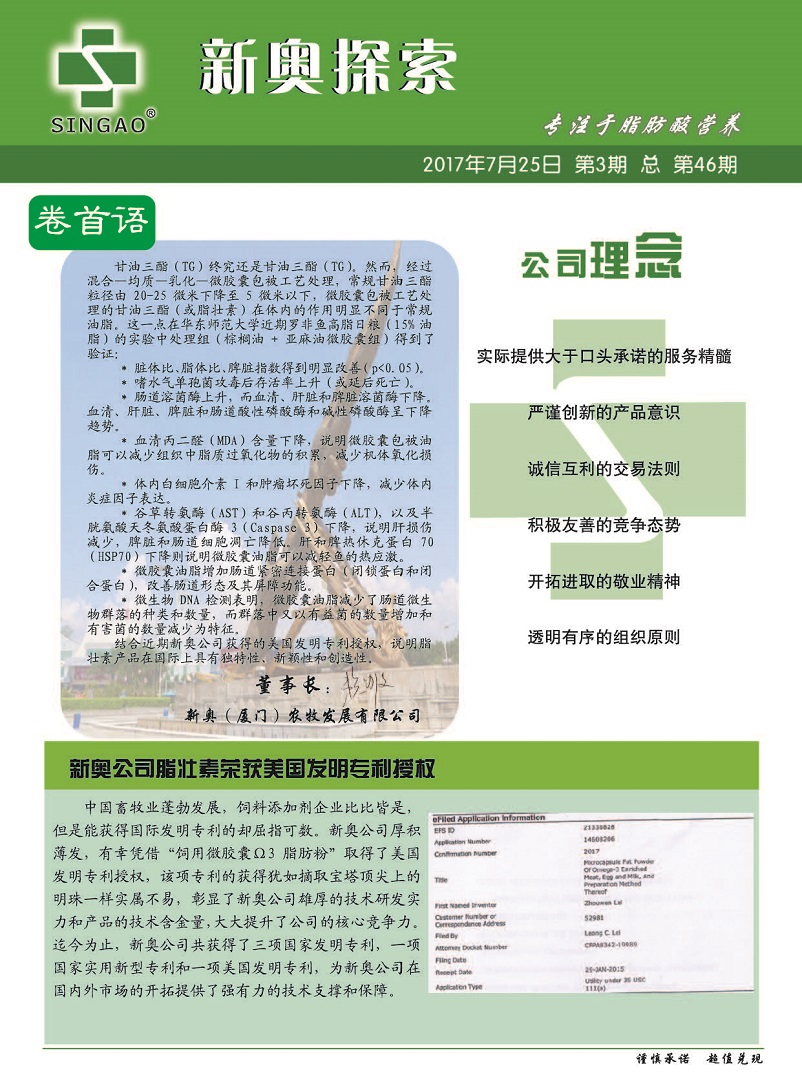 2025新奧最新資料,釋意性描述解_原型版57.124
