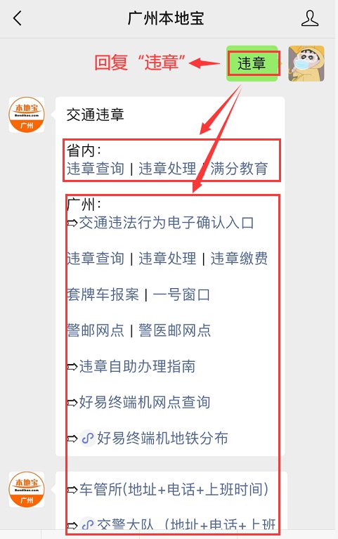 最新機動車違章查詢步驟指南，查詢流程詳解
