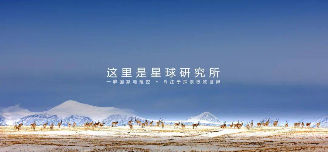 巨鹿最新招聘信息發(fā)布，啟程探索自然美景，尋找內(nèi)心平和的工作機會