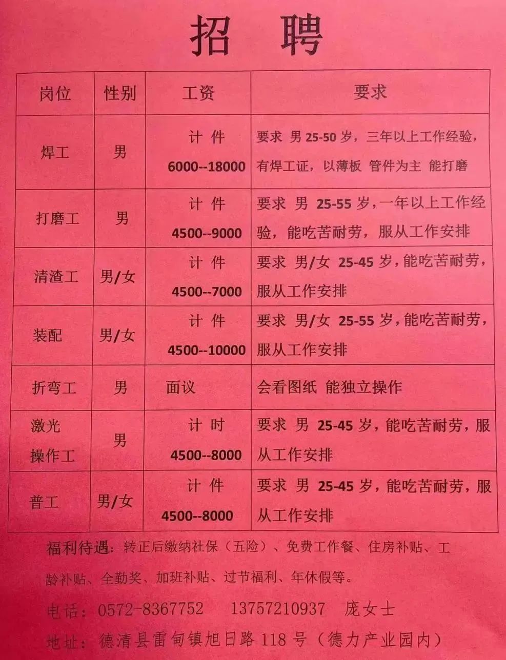 莘縣最新招聘信息概覽