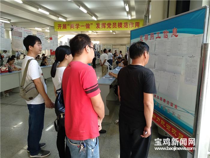 寶雞最新招聘信息揭秘，尋找工作的奇妙之旅啟程了！