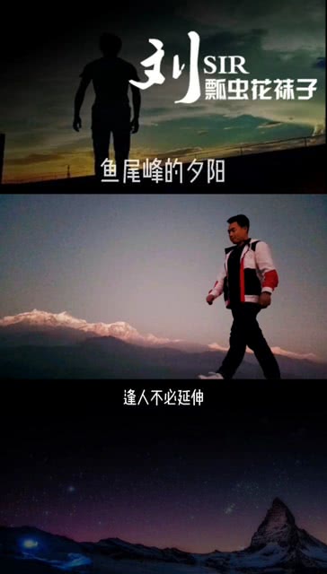 情感的追尋與表達(dá)，最新尋情記揭秘情感之旅的奧秘