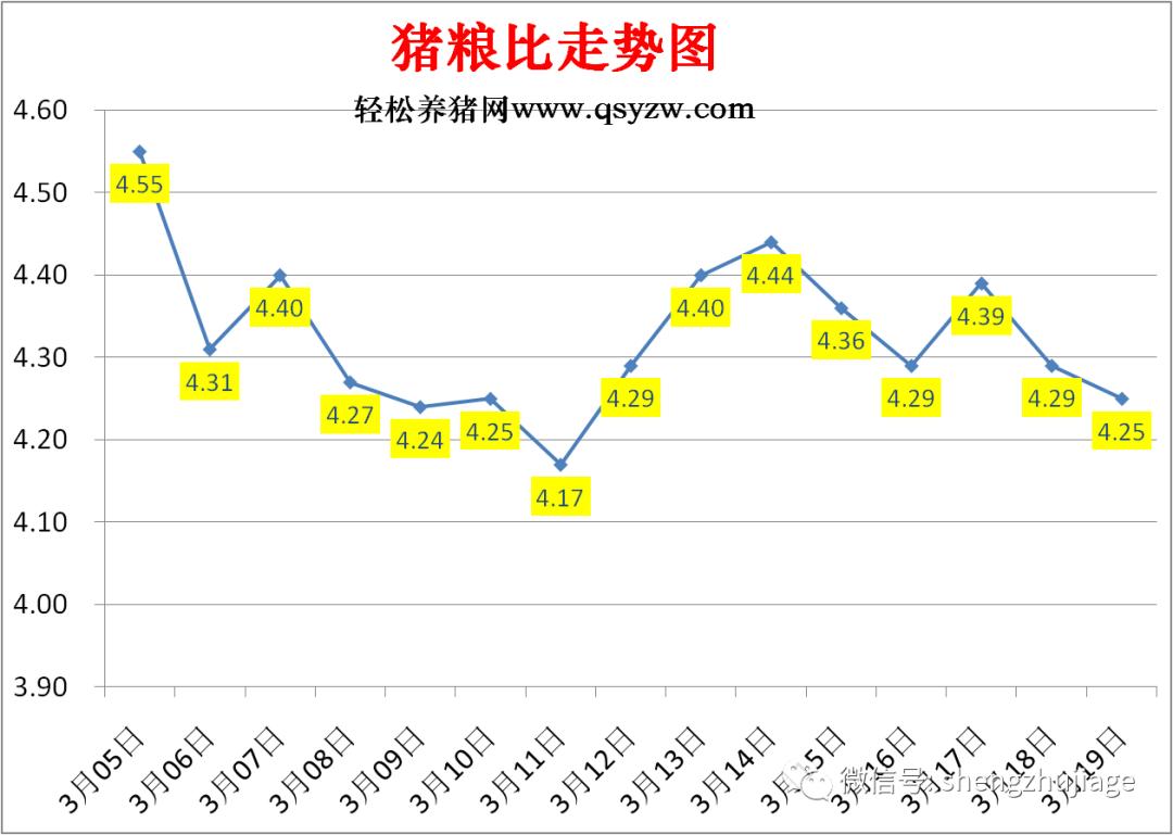 最新生豬價(jià)格表，市場走勢(shì)分析與預(yù)測報(bào)告
