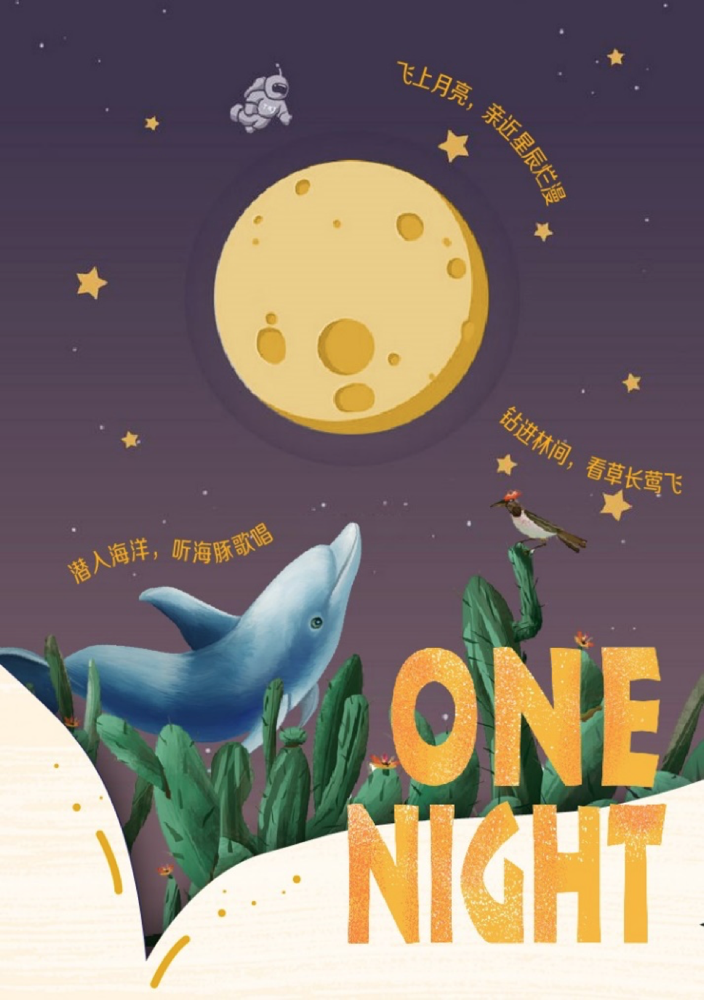 AVnight最新版，探索知識海洋，點亮自信之光