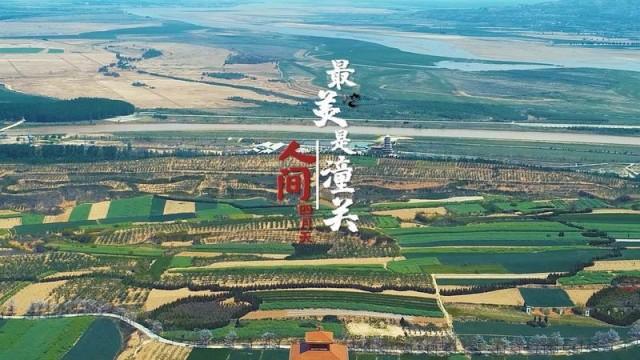 潼關(guān)最新新聞，小城溫馨日常與深厚友情的交織故事