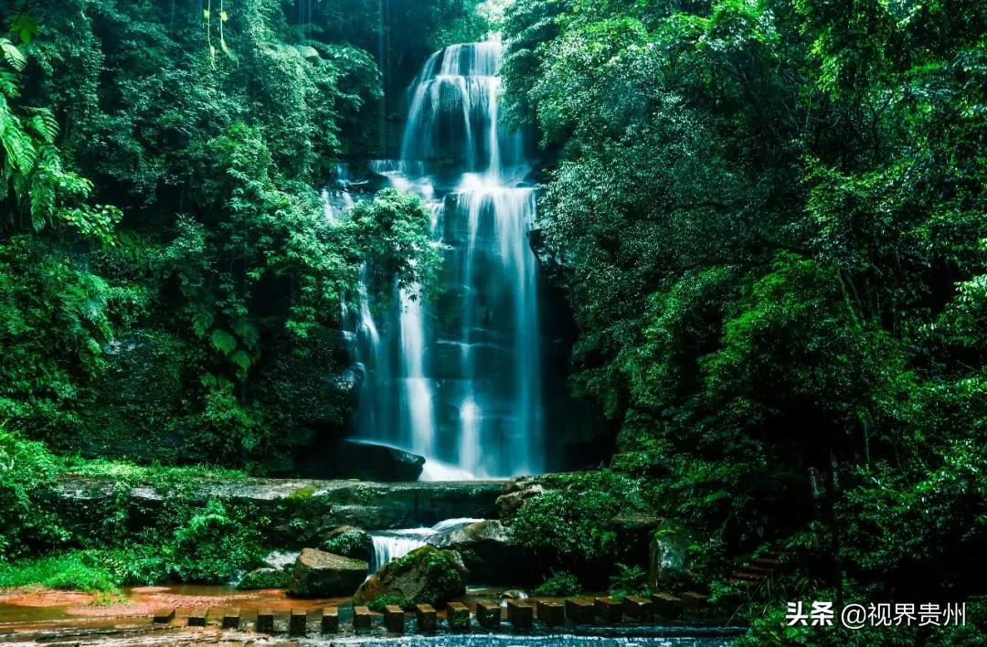 娛樂圈最新動(dòng)態(tài)，踏足自然美景的心靈之旅
