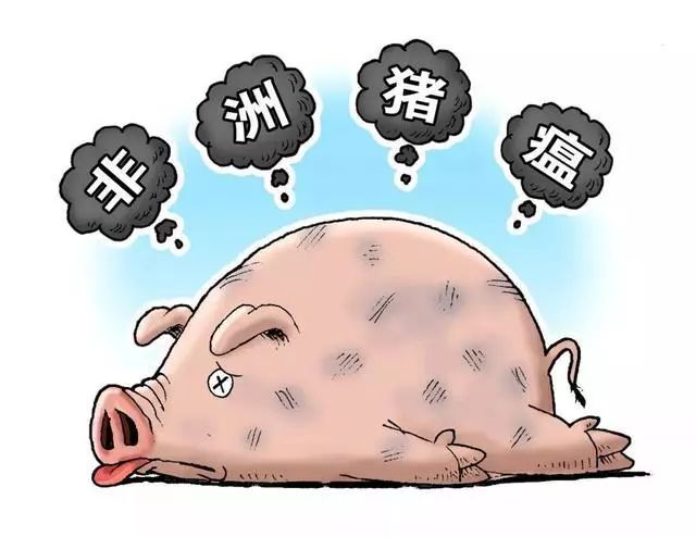 豬瘟最新疫情動(dòng)態(tài)與觀點(diǎn)論述分析