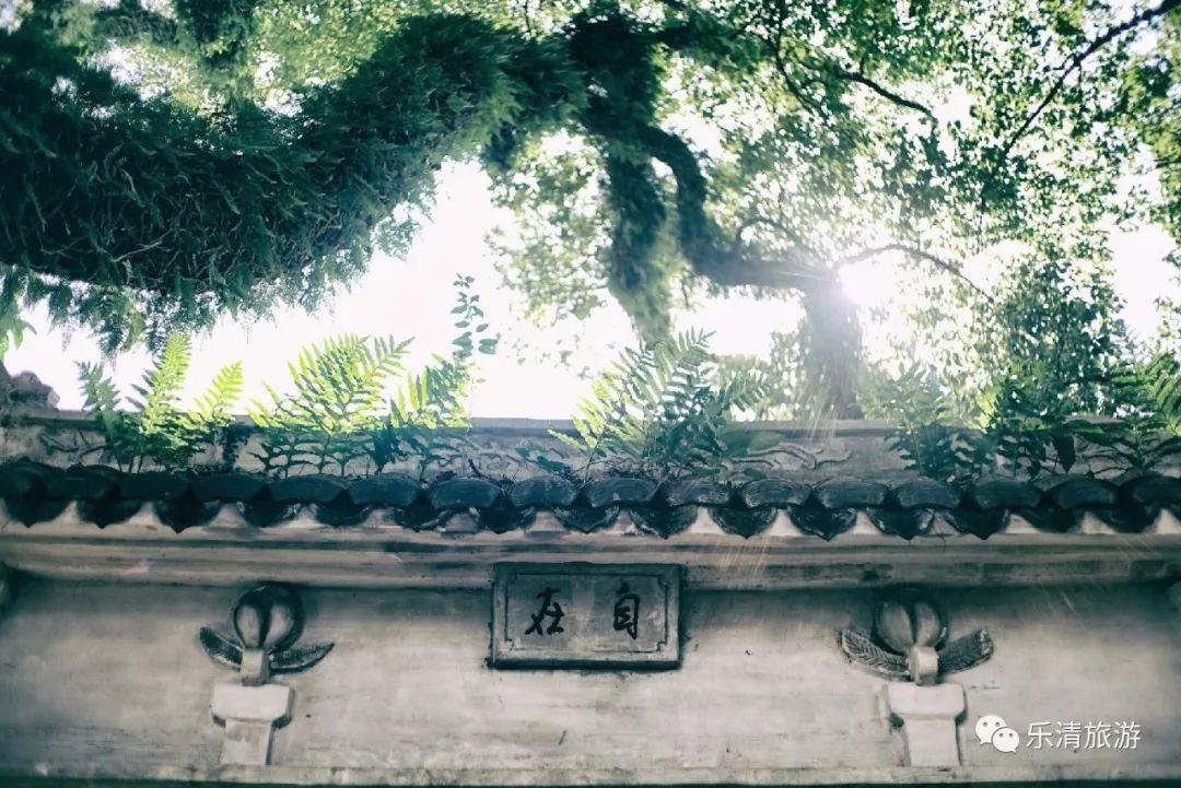 海南樓市最新動態(tài)與巷弄深處的獨特小店探秘