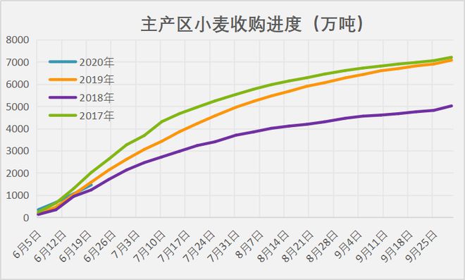 小麥最新行情走勢揭秘，故事中的溫情日常與價格動態(tài)分析