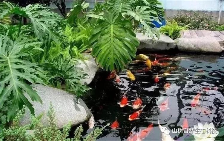 騰訊QQ最新版本下載，探索自然美景，尋找內(nèi)心平和之旅