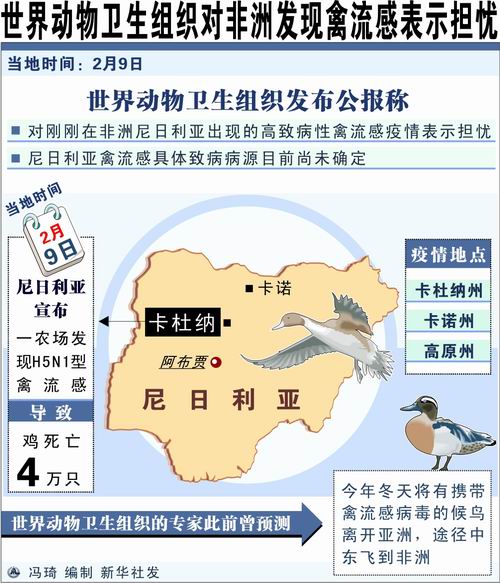 全球禽流感最新態(tài)勢及應對策略解析