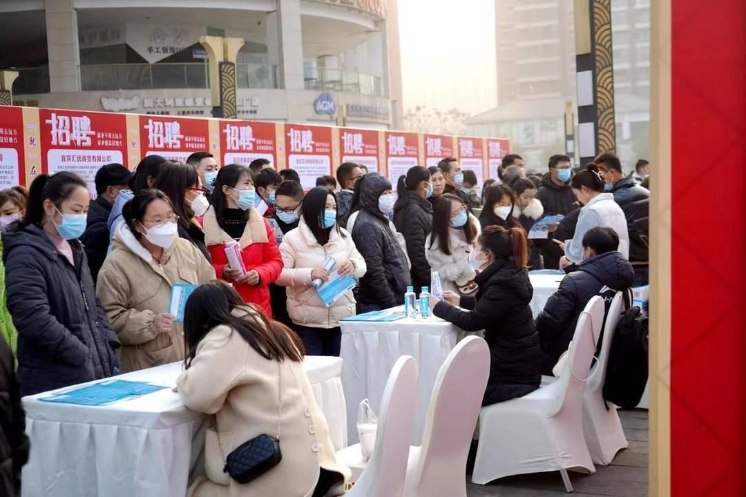 南溪最新招聘信息詳解，觀點闡述與分析