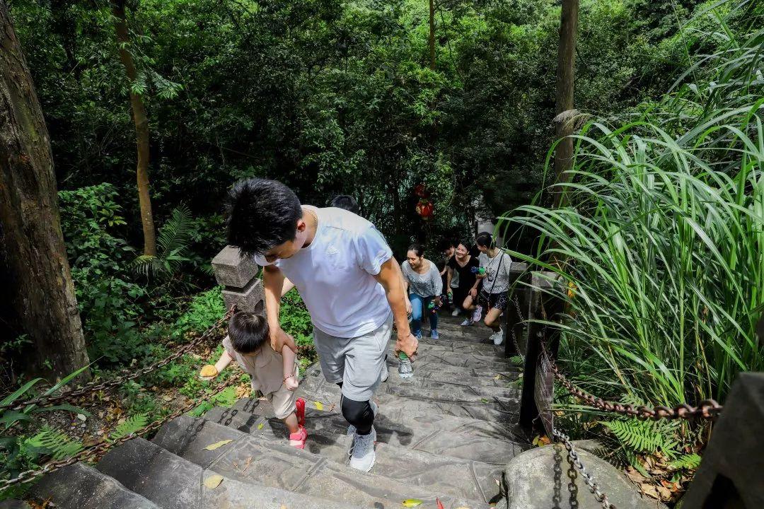 東莞地鐵線路圖最新，通往自然美景的探險(xiǎn)之旅啟程點(diǎn)