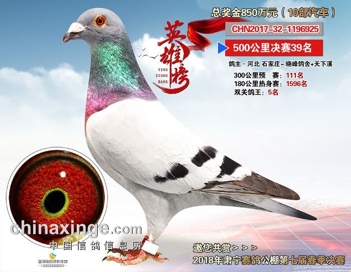 和平公棚春棚活動參與指南，最新公告與步驟指南（適用于初學(xué)者和進階用戶）
