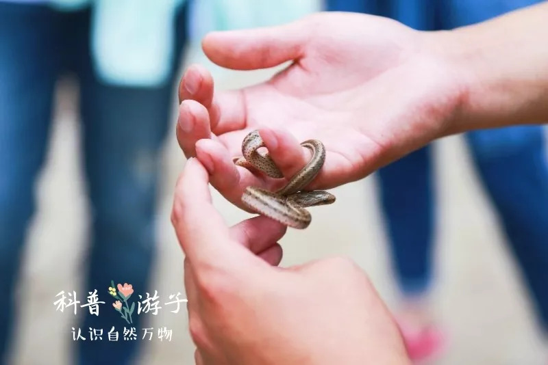 射蓬路西充段最新動(dòng)態(tài)揭秘，自然美景探索之旅啟程