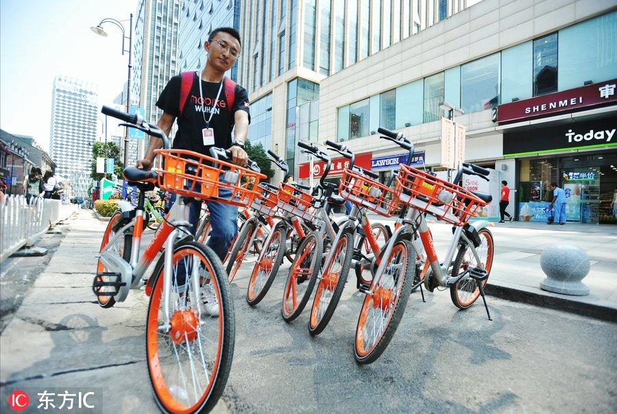 摩拜單車最新款圖片，小巷深處的騎行新選擇揭秘
