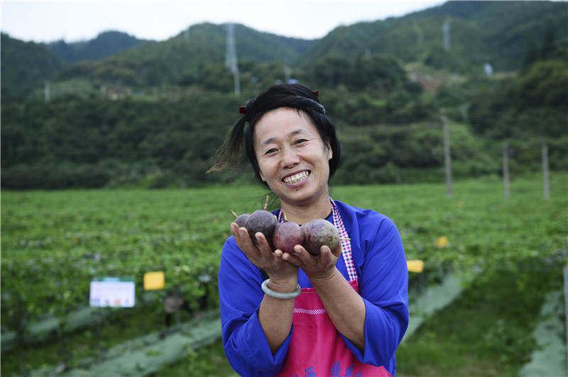 最新動(dòng)態(tài)與消息速遞