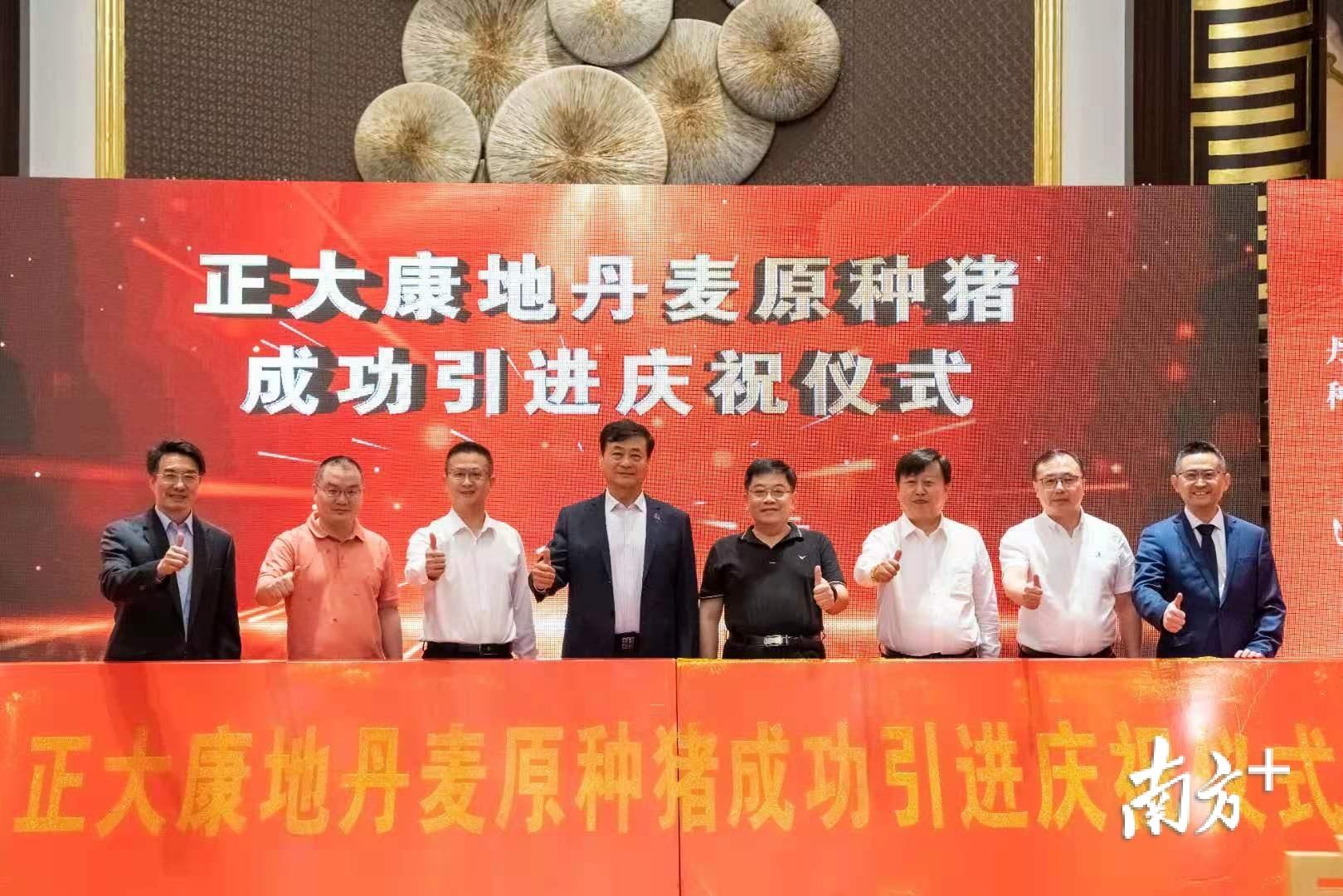 鋁合金型材玻璃隔斷墻 第52頁