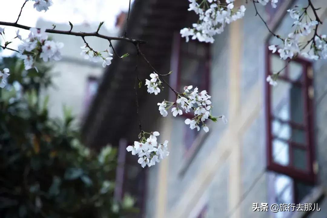 武漢購房政策最新消息,武漢購房政策最新消息，科技重塑居住夢想，未來生活觸手可及