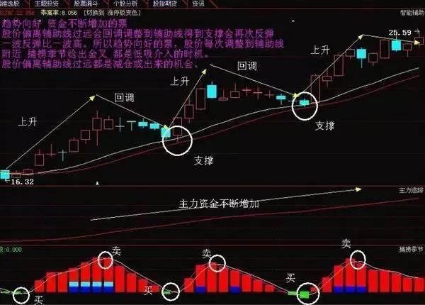 陜西金葉股票最新動態(tài)，自然美景探索之旅啟幕
