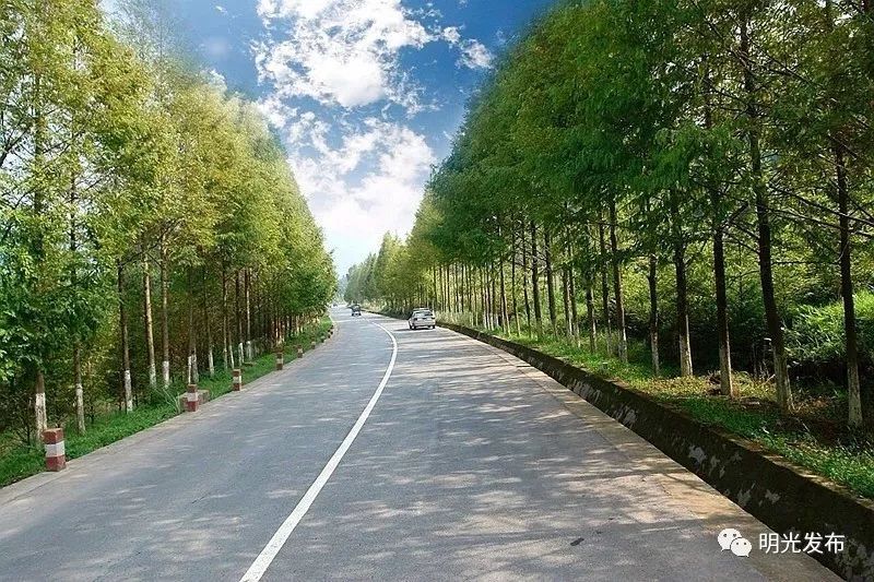 明光257省道最新動(dòng)態(tài)，啟程探索自然美景，追尋內(nèi)心寧?kù)o與平和之路