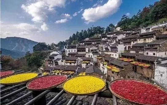 道山集團最新動態(tài)，小巷中的獨特風味探索之旅揭秘