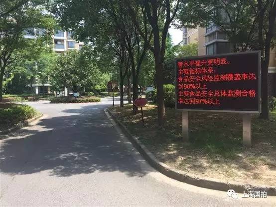 崇明新河綠舟星城，鄰里間的日常趣事與深厚情誼揭秘最新動態(tài)